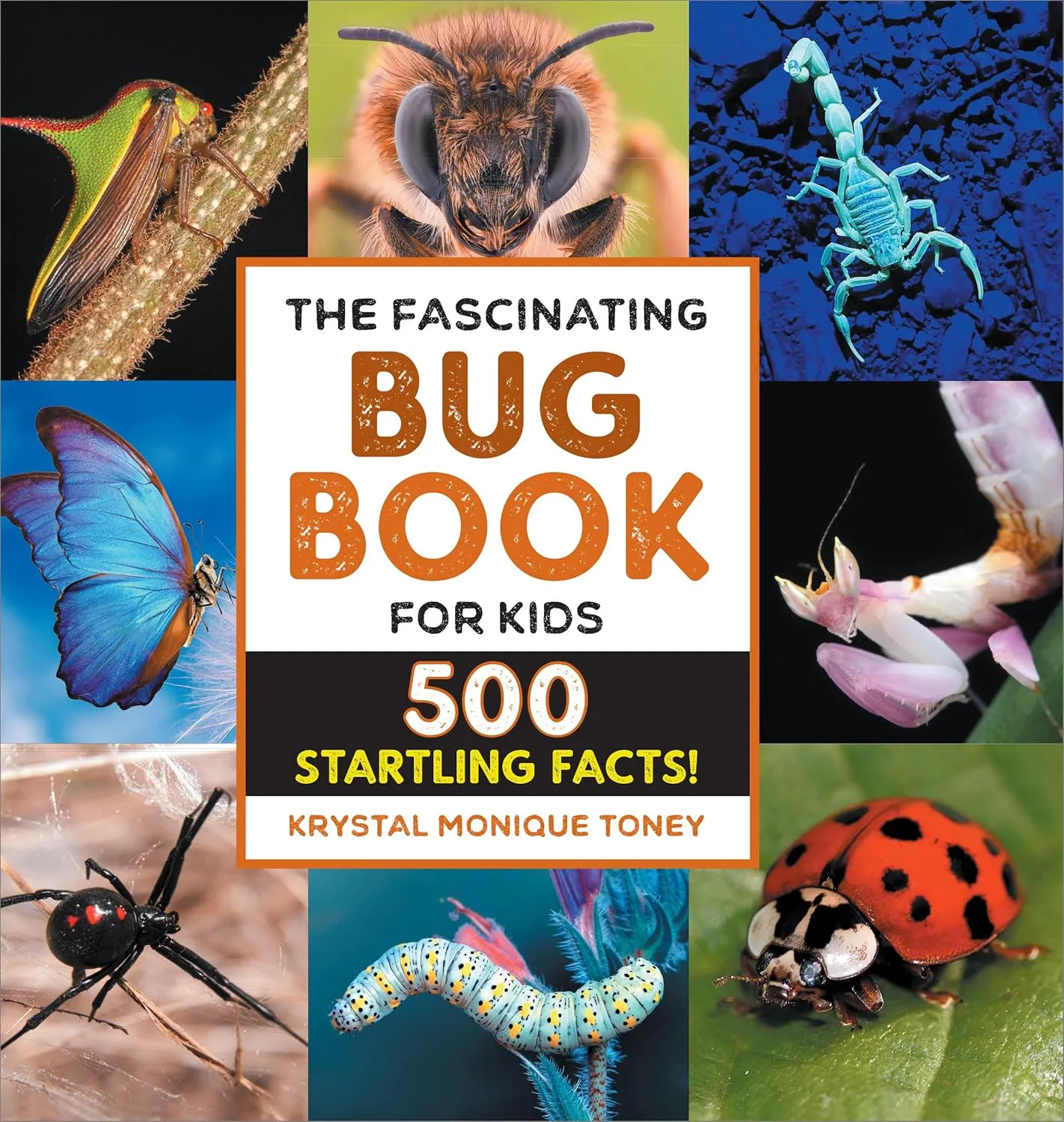 The Fascinating Bug Book for Kids: 500 Startling Facts! (Fascinating Facts) Hardcover  Picture Book, August 30, 2022